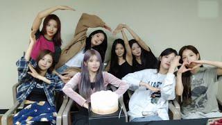 fromis_9 프로미스나인 funny moments #25 WEVERSE LIVE