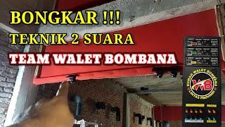 Bongkar rahasia terhnik 2 suara  tim walet Bombana menggunakan 1 ampli