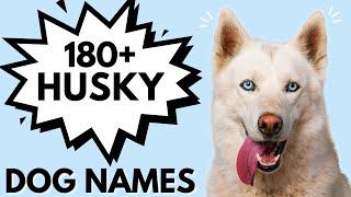 180+ HUSKY Dog Names  Male and Female Dog Names For Your Husky