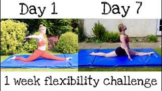 How Much Can I Improve My Flexibility In 7 Days?  Realistic Flexibility Challenge