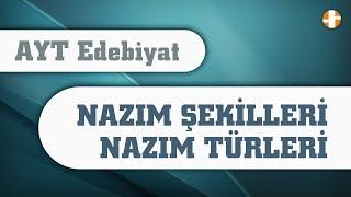 AYT Edebiyat  Nazım Şekilleri ve Türleri