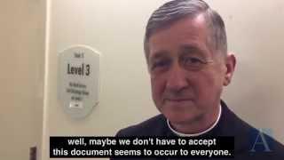 Archbishop Cupich on Faithful Citizenship revisions