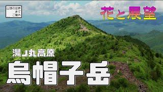 【登山】湯ノ丸高原烏帽子岳 -花と展望の山-