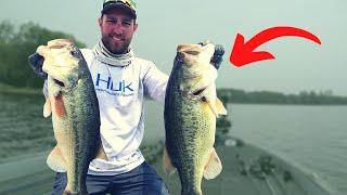 Start FINDING Bass FASTER Than Your Friends Bass Fishing Tips