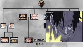 ONE PIECE D FAMILY TREE - Including Rocks D. Xebec