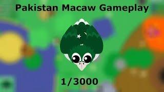 PAKISTAN MACAW GAMEPLAY  DONKEY KILLS ELEPHANT 2X  BETA.MOPE.IO