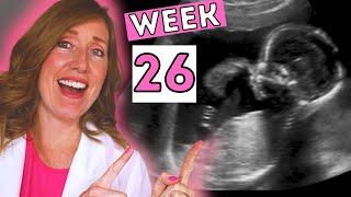 26 Weeks in Months  26 weeks Pregnant Ultrasound Braxton Hicks Sleeping Heartburn