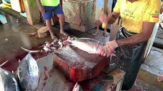Amazing Tuna Fish Cutting Skills Sri Lanka  Amazing Fish Cutting Experts