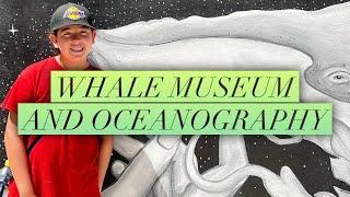 Whale Museum And Oceanography Museo de la Ballena y Ciencias del Mar