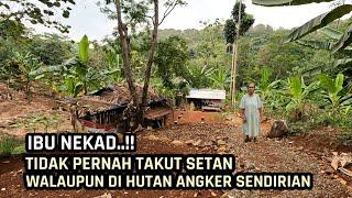 IBU NEKAD  TAK PERNAH TAKUT SETAN WALAUPUN DI HUTAN ANGKER SENDIRIAN.