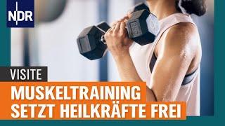 Muskeln Wie Sport und Training Heilkräfte freisetzen  Visite  NDR