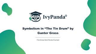 Symbolism in The Tin Drum by Gunter Grass  Free Essay Book Review Example