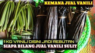 jual vanili itu mudah kalau tau jalurnya