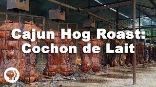 Cajun Hog Roast Cochon de Lait Festival