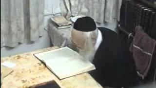 Rabbi Moreinu Ha Rav Elyashiv Shtaigging - Learning - Rare Video Footage