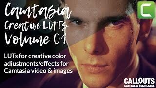 NEW Camtasia Creative LUTs collection. 15 creative LUTs for Camtasia.
