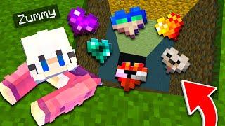 Minecraft Dar Am Inimi Custom