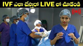 IVF  ఎలా చేస్తారో LIVE లో చూడండి  IVF Step By Step Procedure  Dr. Jyothi Fertility Expert  HQ