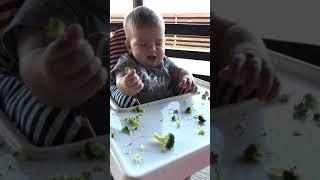 Glorias first food BLW Baby Led Weaning 6 months old