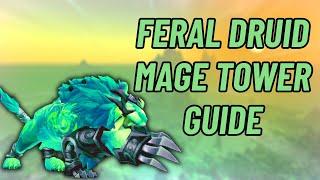 Feral Druid  Mage Tower Guide  World of Warcraft
