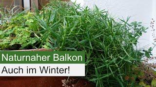 So geht Insektenschutz auf dem Balkon auch im Winter