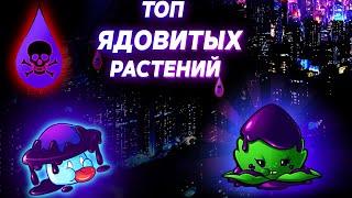 ТОП ЯДОВИТЫХ РАСТЕНИЙ В Plants vs Zombies 2