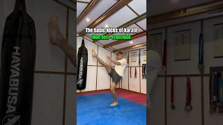 The basic kicks of karate