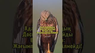 сіз калай ойлайсыз комментария жазы кетіңіз лайк басып парақшаға тіркеліп кетіңіз