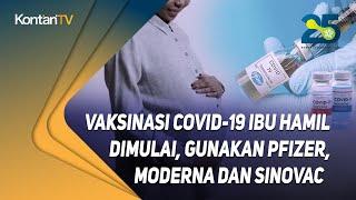 Vaksinasi Covid 19 ibu hamil dimulai gunakan Pfizer Moderna dan Sinovac