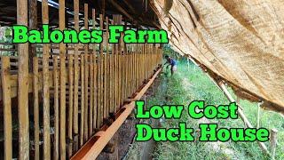 UPDATE Balones Duck Farm  Duck Farming in Philippines  GOOD INVESTMENT