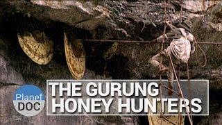 The Gurung Honey Hunters  Culture - Planet Doc Full Documentaries