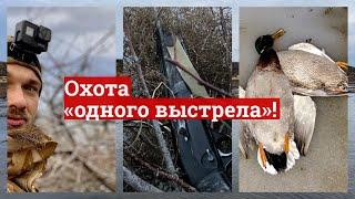 Охота «одного выстрела».