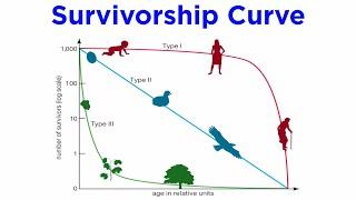 Population Ecology Life Tables Age Structure Population Growth