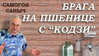 БРАГА НА ПШЕНИЦЕ дрожжи Кодзи и... ШОК  Рецепты  самогона браги  Самогон Саныч