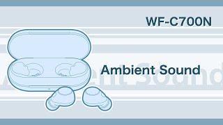 WF-C700N How to use the noise cancelling