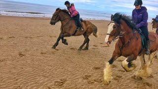 Cumbrian Heavy Horses Beach Ride By Drone & GoPro HD