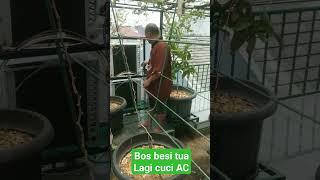 belajar cuci AC