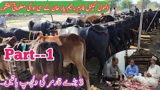 Anmol Cattle Farm Rahim Yar Khan Ke CO  3 Big Farmers Mix Cattle Farming Tips 2021