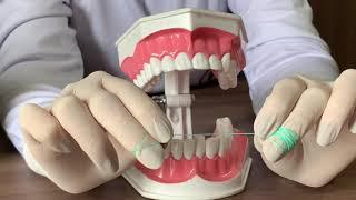 3 DICAS DE COMO PASSAR O FIO DENTAL