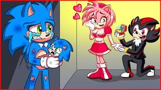 IM SORRY SONIC. Amy Please Come Back To Family  Very Sad Story  Sonic the Hedgehog 2 Animation