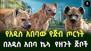 የአዲስ አበባው የጅብ ጦርነት በአዲስ አበባ ኬላ  የዘረጉት ጅቦች