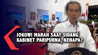 Jokowi Marahi Para Menteri Saat Sidang kabinet Paripurna Apa Isinya?