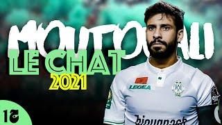 Mohsine Moutouali Le chat 2021  جزء 1 محسن متولي