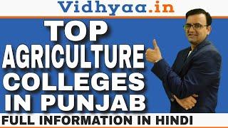 BSC AGRICULTURE COLLEGES IN PUNJAB 2024  TOP 10 BEST BSC AGRICULTURE COLLEGES IN PUNJAB  ADMISSION