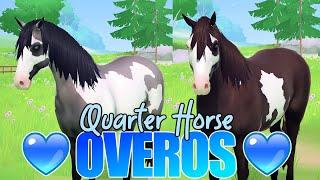 wir ERSTELLEN unser  OVERO QUARTER HORSE  Equestrian the Game