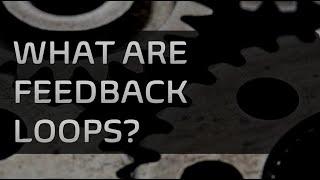 What are Feedback loops?