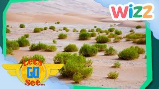@LetsGoSee - Keeps the Desert at Bay?  Exploration  @Wizz