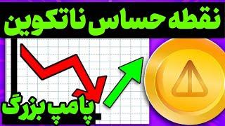 نات كوين  زدن سقف قیمتی جدید یا ریزش؟ جدید ترين تحليل نات كوين نات کوین  0.50 سنتی شدن؟