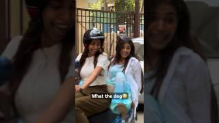 Street Dogs  Scared  Ankita Mestry #trending #shorts