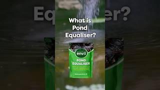 How to Fix pH and KH in a Fish Pond